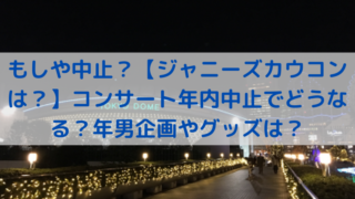 画像 ジャニーズカウコン21 うちわの枚数制限や送料は ビジュはどう Trend Diary