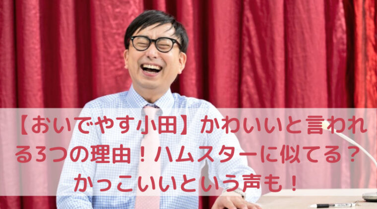 おいでやす小田 かわいいと言われる3つの理由 ハムスターに似てる かっこいいという声も Trend Diary