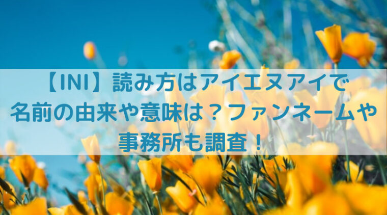 Ini 読み方はアイエヌアイで名前の由来や意味は ファンネームや事務所も調査 Trend Diary