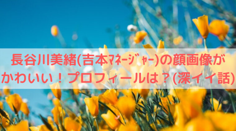 黄色い花と青い空の写真